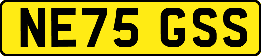NE75GSS