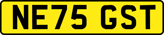 NE75GST