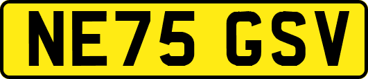 NE75GSV