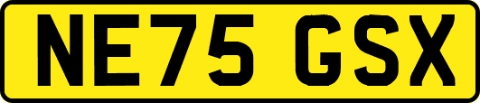 NE75GSX