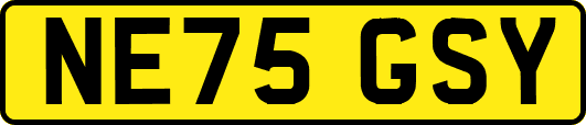 NE75GSY