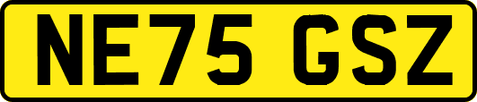 NE75GSZ