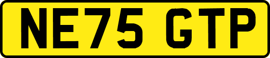 NE75GTP