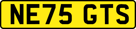 NE75GTS