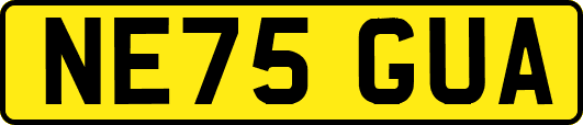 NE75GUA