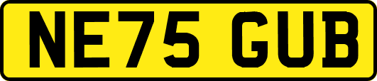 NE75GUB