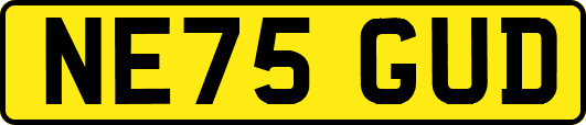 NE75GUD
