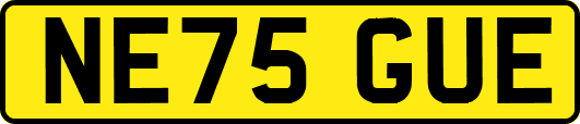 NE75GUE