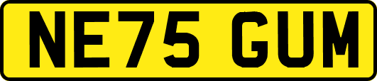 NE75GUM