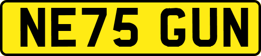 NE75GUN