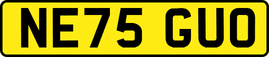 NE75GUO