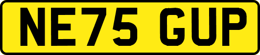 NE75GUP