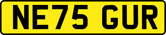 NE75GUR