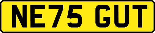 NE75GUT