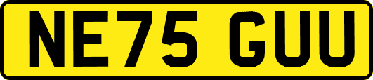 NE75GUU