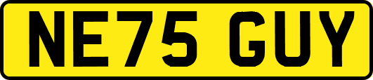 NE75GUY