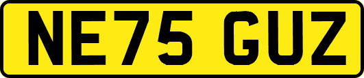 NE75GUZ