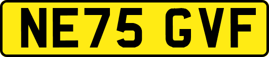 NE75GVF