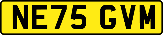 NE75GVM