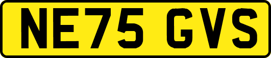 NE75GVS