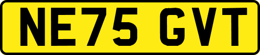 NE75GVT