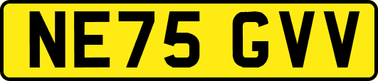 NE75GVV