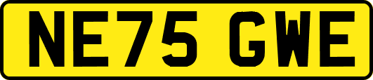 NE75GWE