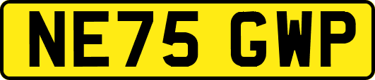 NE75GWP
