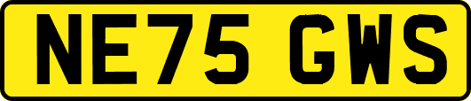 NE75GWS