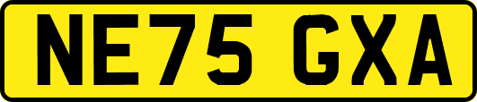 NE75GXA