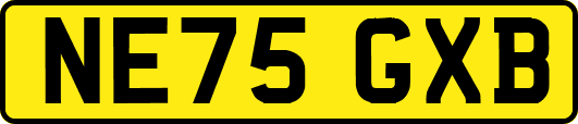 NE75GXB