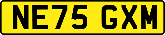 NE75GXM