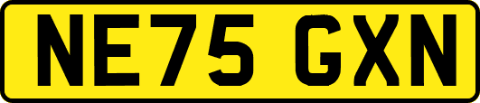 NE75GXN