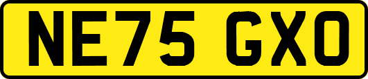 NE75GXO