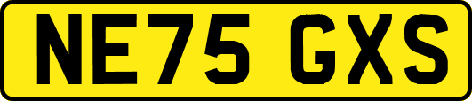 NE75GXS