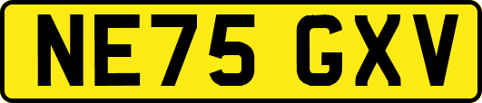 NE75GXV