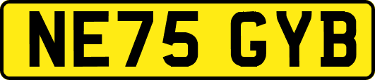 NE75GYB