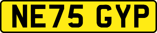NE75GYP