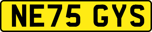 NE75GYS