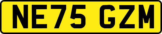 NE75GZM