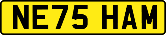 NE75HAM