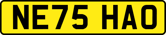 NE75HAO