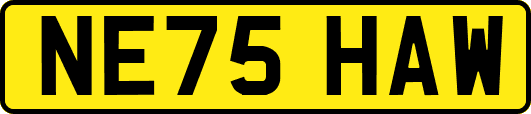 NE75HAW