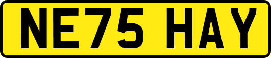 NE75HAY
