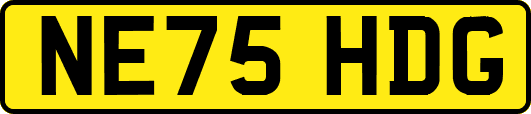 NE75HDG