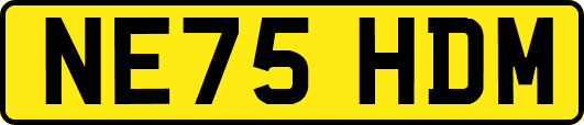 NE75HDM
