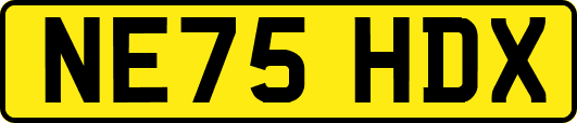 NE75HDX