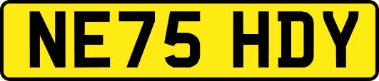 NE75HDY