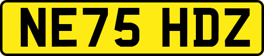 NE75HDZ