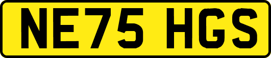 NE75HGS